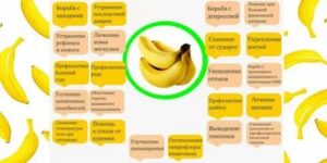 Можно ли есть бананы при кандидозе кишечника
