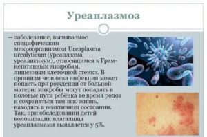 Уреаплазма и кандидоз у женщин лечение