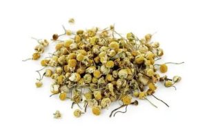 Как пить отвар ромашки при задержке месячных