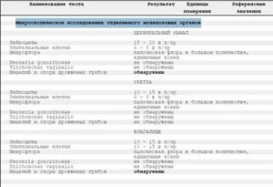 Анализ микроскопия окрашенного препарата отделяемого мочеполовых органов