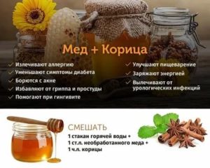 Сколько пить корицу с медом для потенции