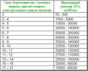 Что покажет хгч во время месячных при беременности