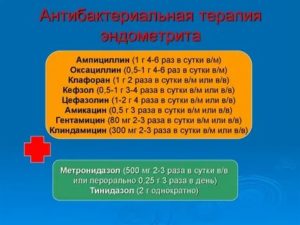 Какими антибиотиками лечится эндометрит
