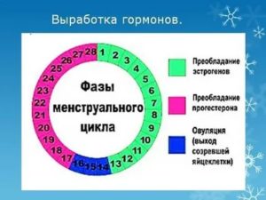 Могут ли пойти месячные на 22 день цикла