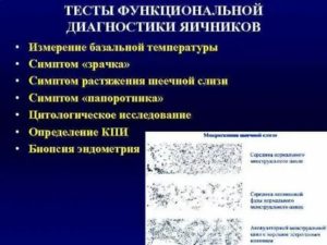 Тесты диагностики функционального состояния яичников