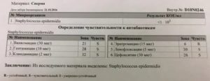 Правила сбора эякулята на посев