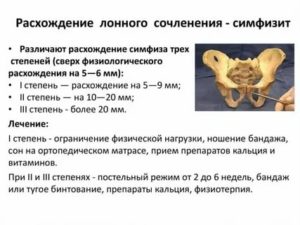 Расхождение лобкового симфиза при беременности на узи