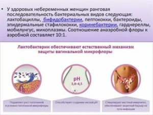 Может ли от молочницы быть дисбактериоз кишечника