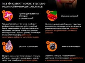 Препараты вызывающие прилив крови к половым органам