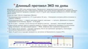 Когда начинаются месячные при длинном протоколе эко