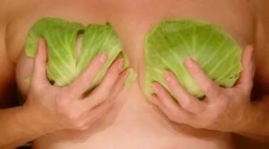 Как прикладывать капустный лист при кисте молочной железы