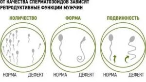 Как влияют антибиотики на сперму при зачатии