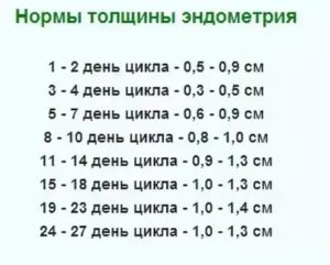 Как быстро нарастает эндометрий после месячных