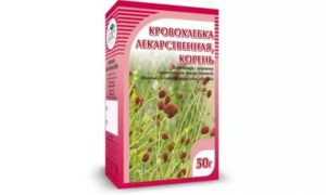 Лечение молочницы кровохлебкой