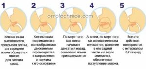 Молочница на грудных железах отзывы