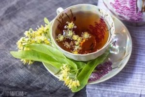 Липовый цвет при климаксе как принимать