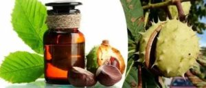 Лечение мастопатии настойкой конского каштана