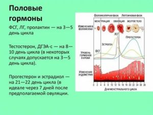 Когда сдают гормоны первой фазы менструального цикла