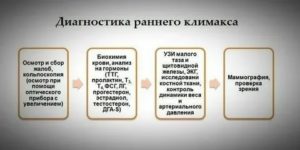 Признаки раннего климакса по узи