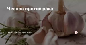 Чеснок от рака простаты рецепт