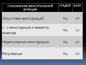 Что такое становление менструальной функции