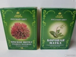 Настойка боровой матки и красной щетки при миоме матки отзывы