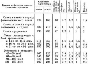 Как правильно кормить месячных крольчат