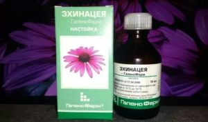 Применение настойки эхинацеи при молочнице