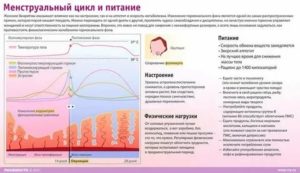 При узи можно определить наступления климакса