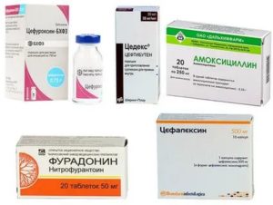 Какие препараты при заболевании мочеполовой системы