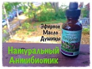 Масло душицы при молочнице отзывы