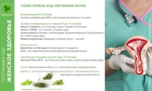 Витамины в при миоме и эндометриозе