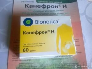 Препараты при воспалении почек и мочеполовой системы