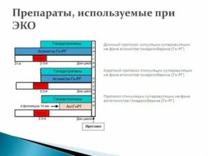 Стоимость препаратов для стимуляции овуляции при эко