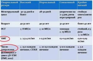 Определение овариального резерва яичников узи