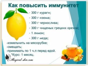 Как повысить иммунитет перед месячными