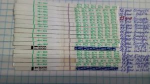 Что покажет хгч во время месячных при беременности