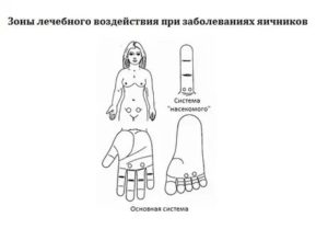 Су джок при раке молочной железы