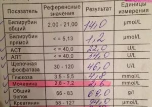 Как сдавать анализ менструальной крови