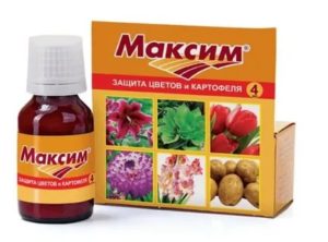 Препарат для обработки семенного картофеля максим