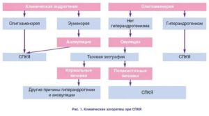 Препараты для стимуляции овуляции при мультифолликулярных яичниках