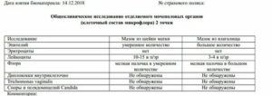 Анализ микроскопия окрашенного препарата отделяемого мочеполовых органов