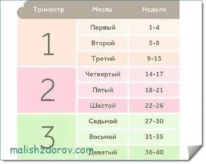 Что такое второй триместр месячных