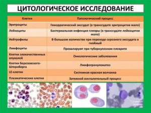 Цитологическое исследование препарата тканей матки что это